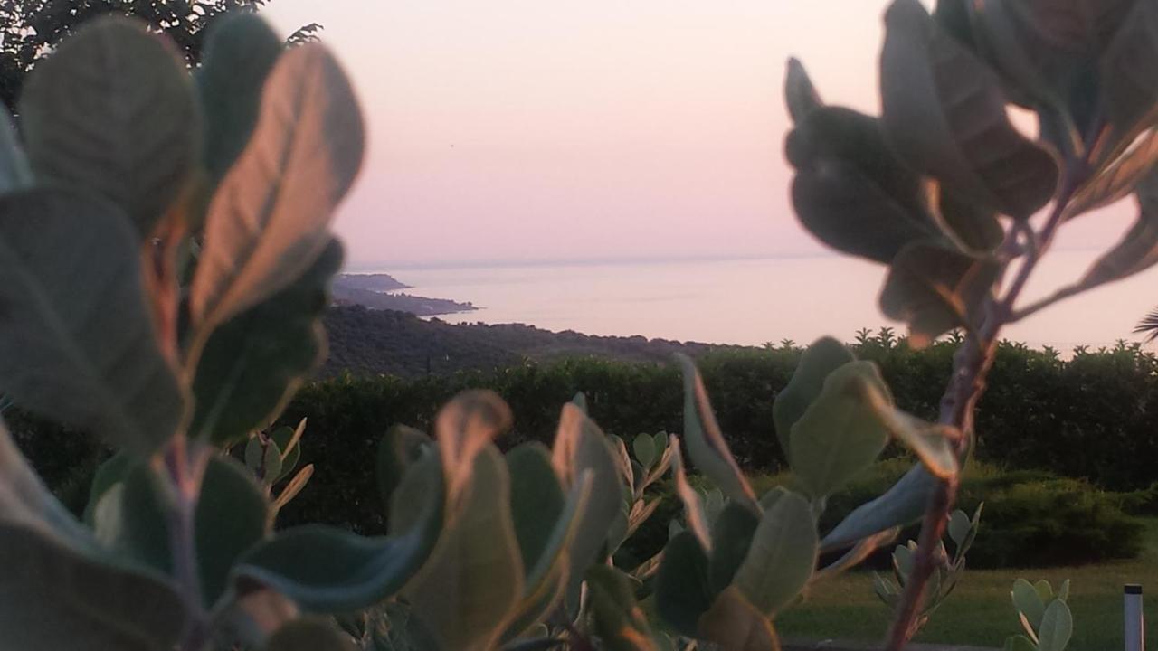 Colle Selvotta Bed & Breakfast