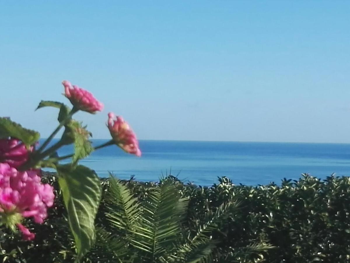 Colle Selvotta * Vasto